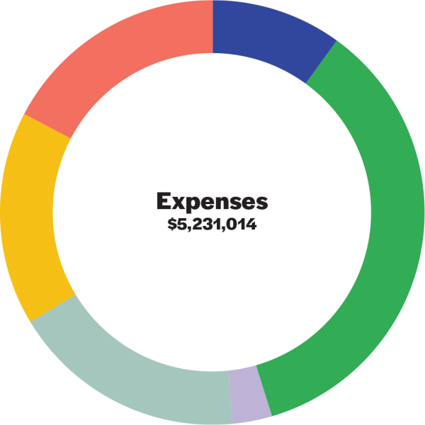 pie chart depicting expenses listed in the following table