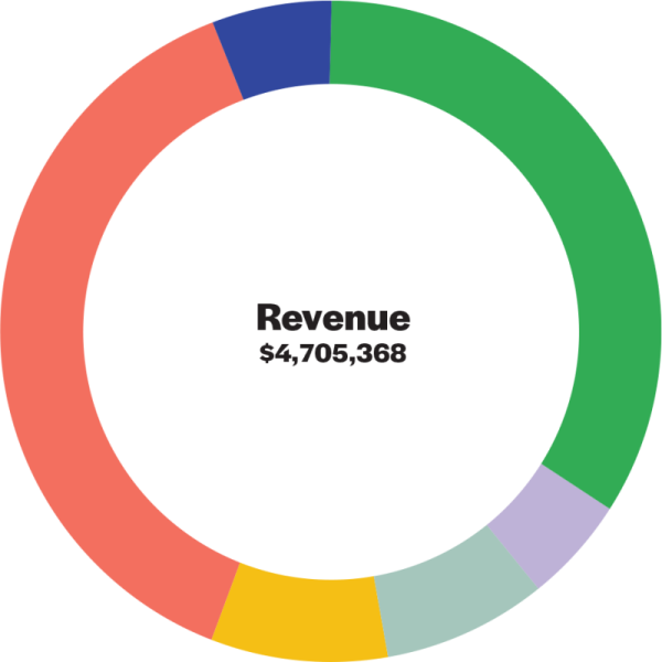 pie chart depicting revenue listed in the previous chart