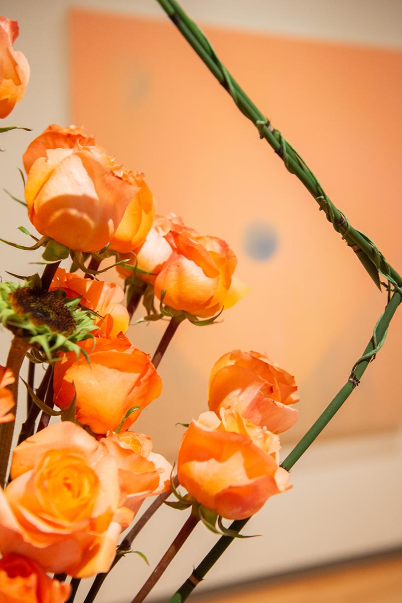 A closeup of orange flowers